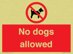 No dogs allowed